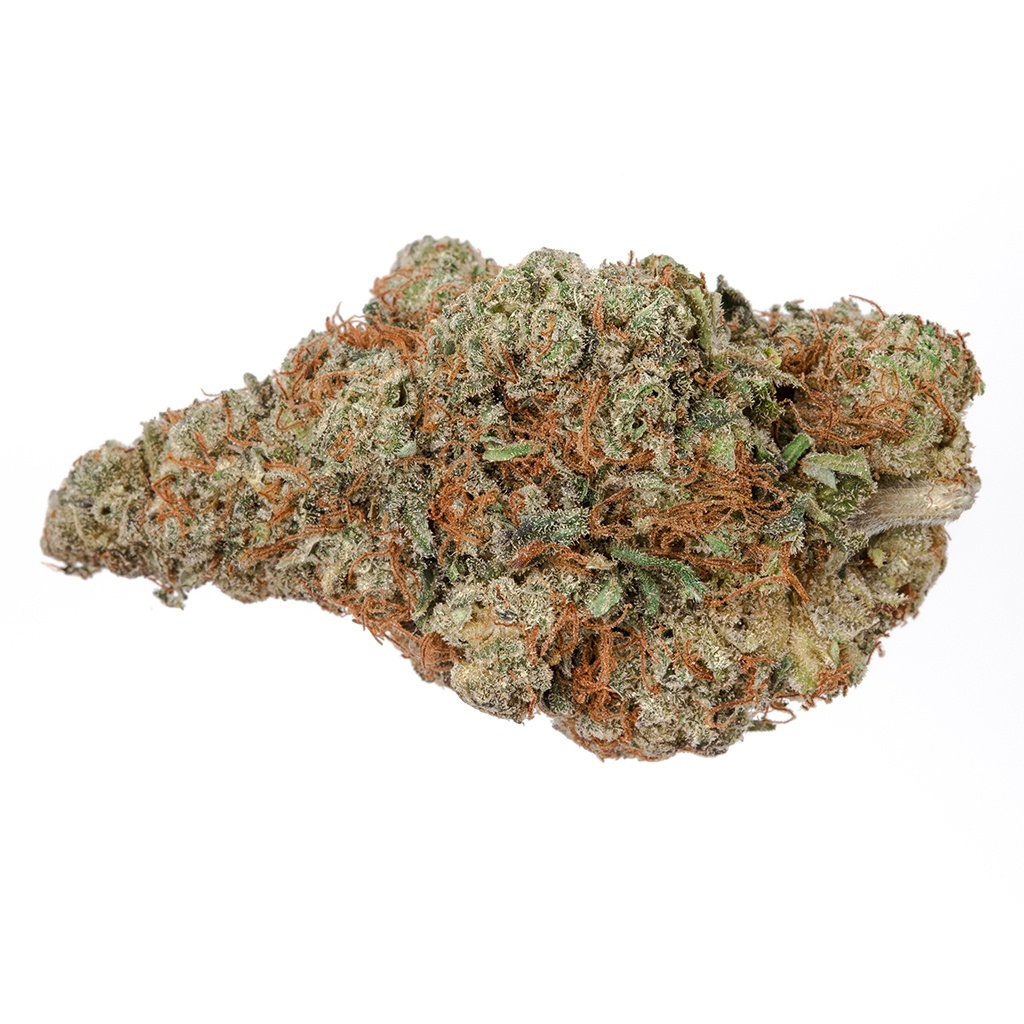 Highly Dutch Organic - Rotterdam Indica