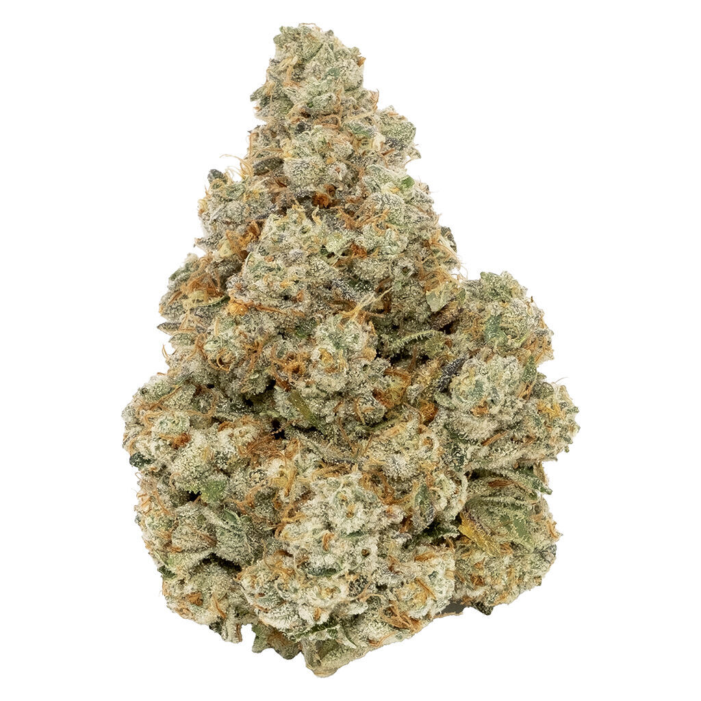 Northern Canna - Prime8 Fuel