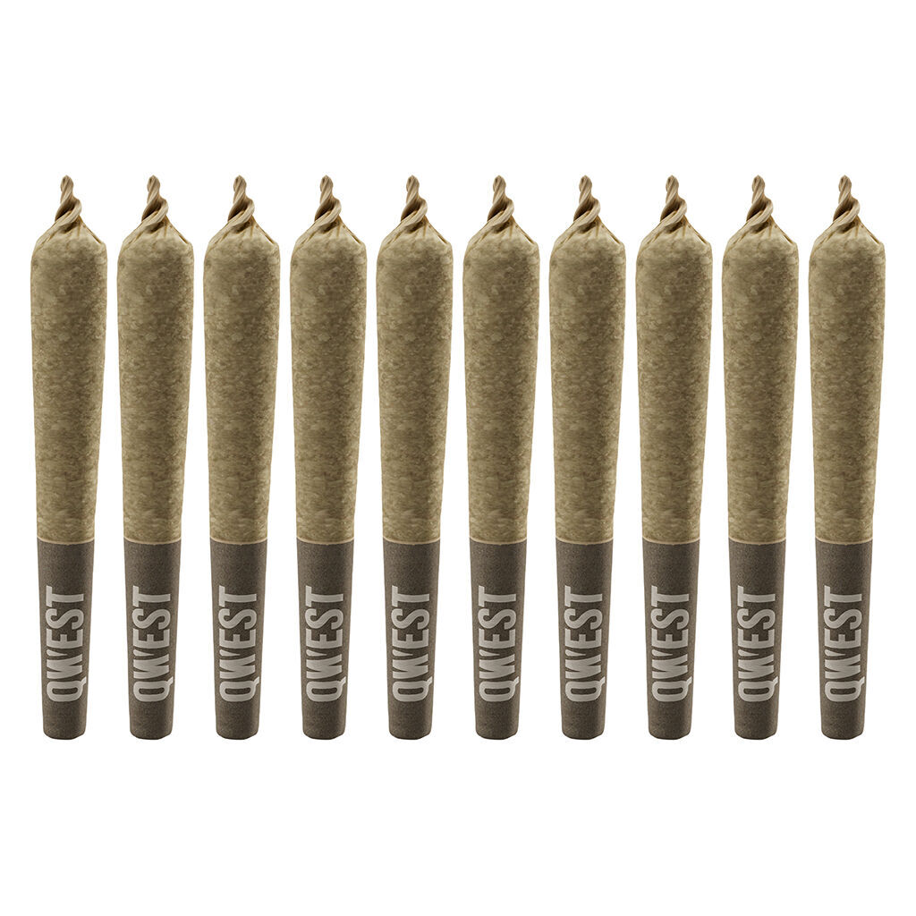 Qwest - 35's Platinum Gas Pre-Roll - Indica - 10x0.35g