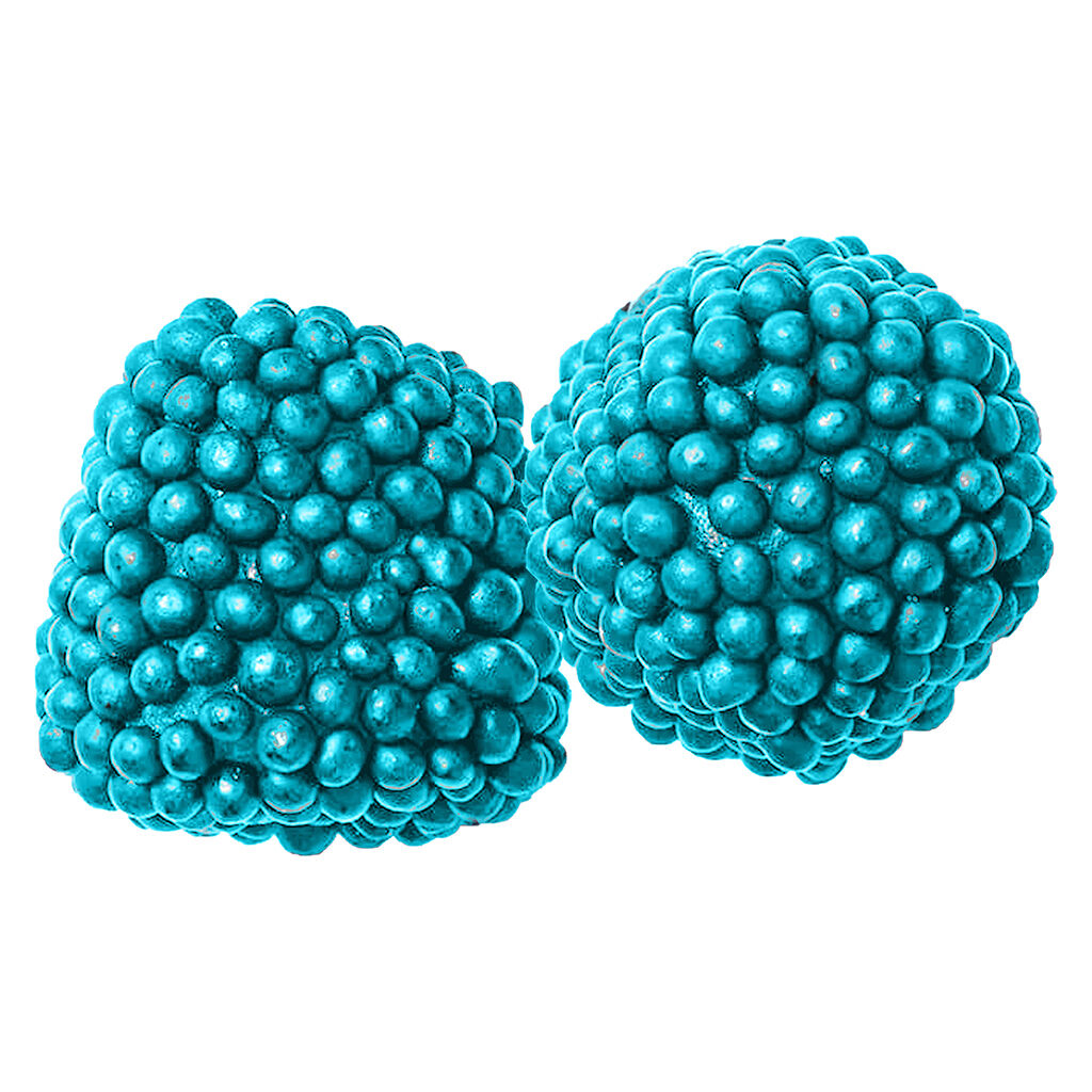 A-Ha! - Electric Blue Razz Berries - Sativa - 2 Pack