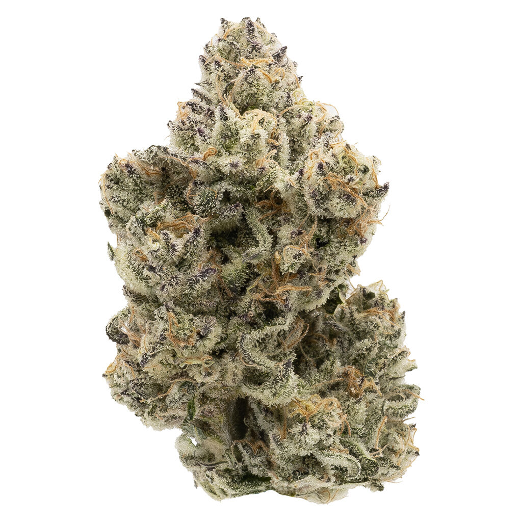 Northern Canna - The Collective Half Q