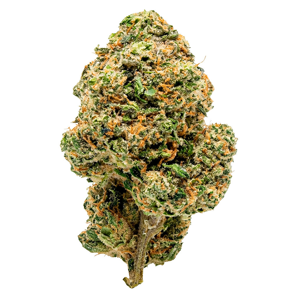 Dom Jackson - Loud Litlz