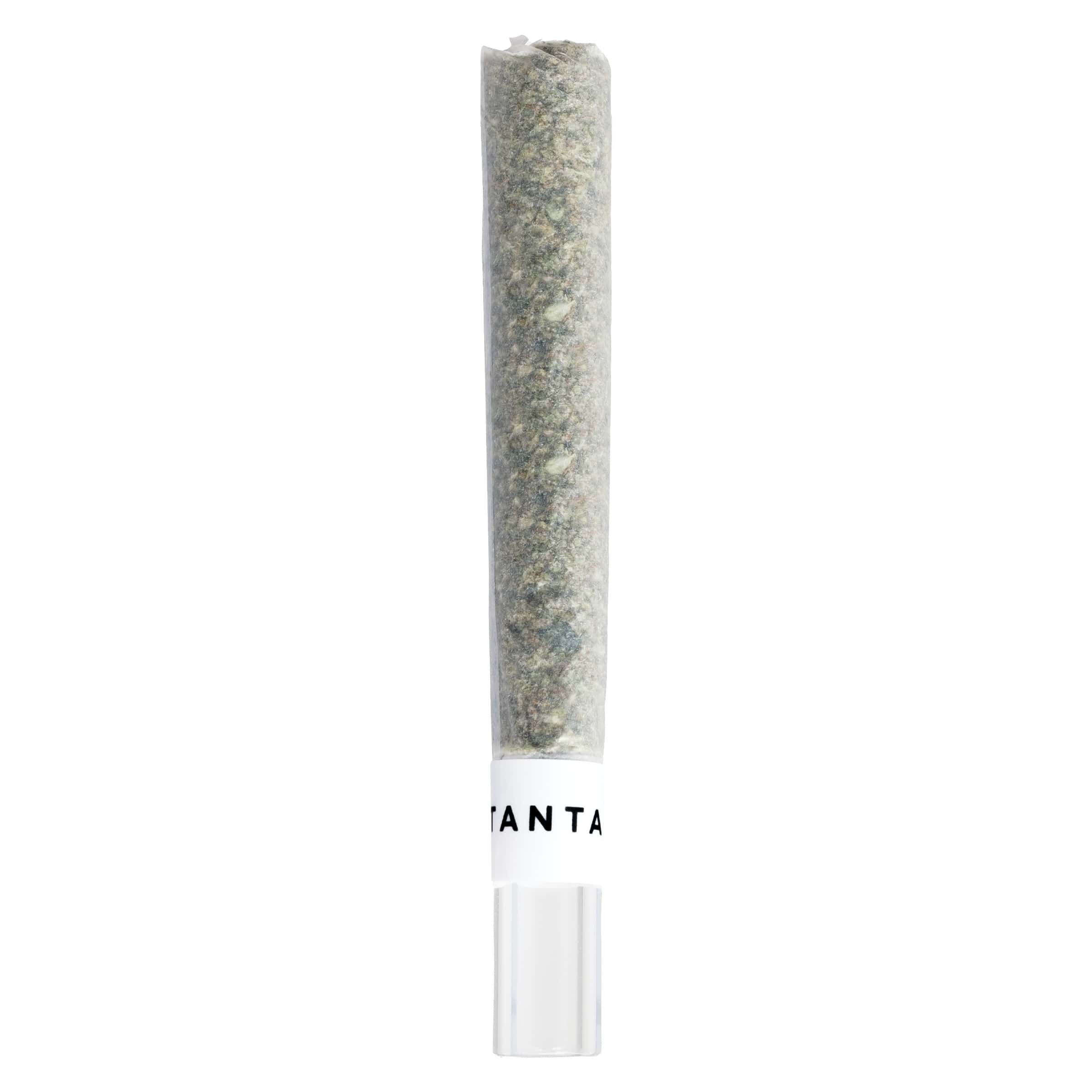 Tantalus - Mai Tai x Zero Gravity Diamond Infused Glass Tip Pre-Roll - Sativa - 1x1g