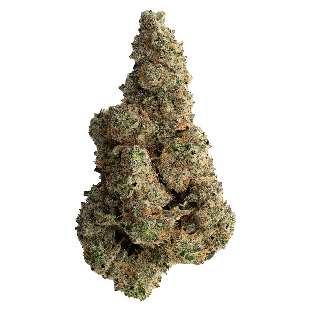 The Loud Plug - With love from Scarborough 28g