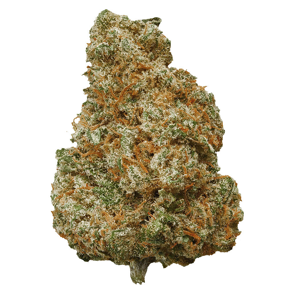 Potluck - Mango Dream