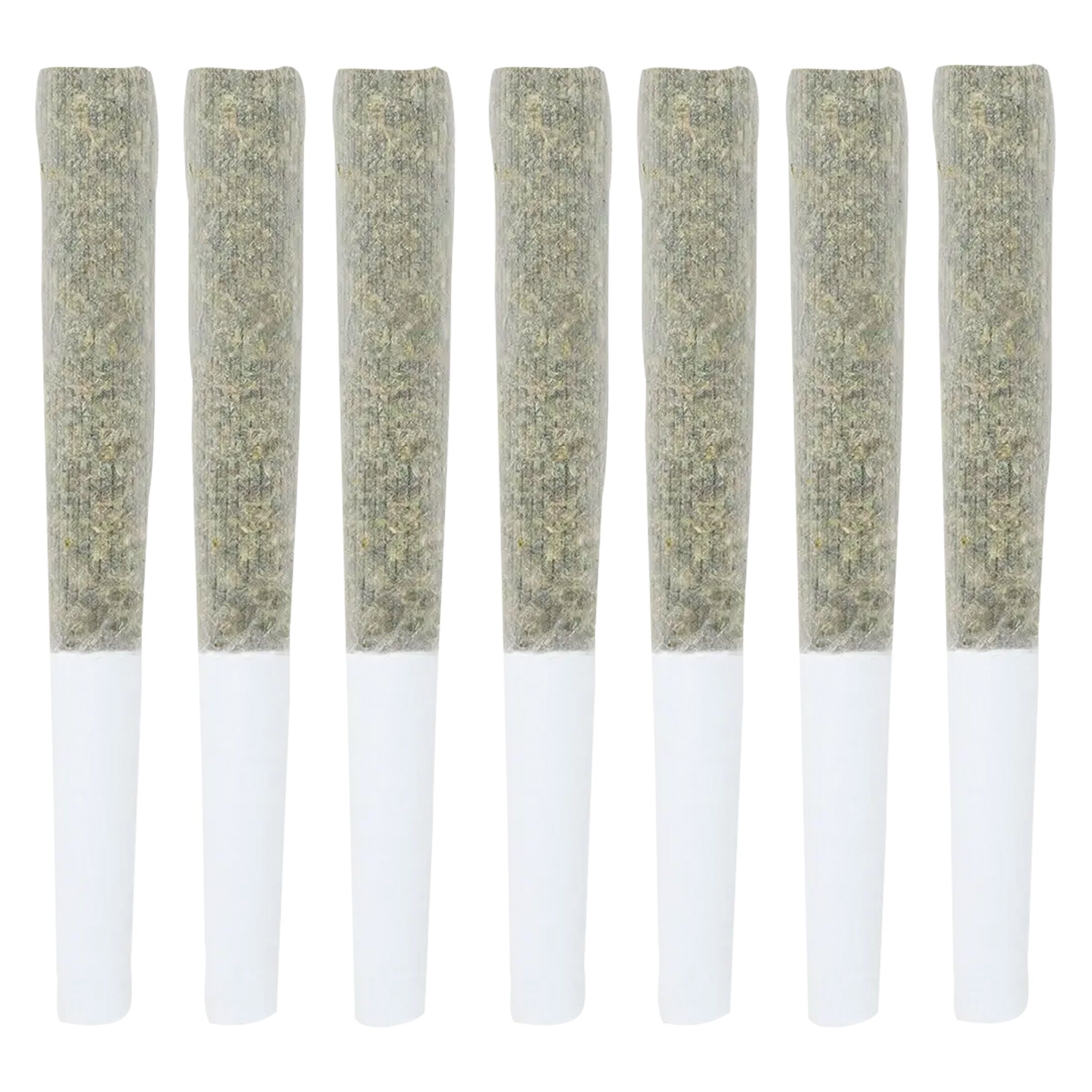 Cactus - Kush Fest Pre-Roll - Indica - 7x0.5g