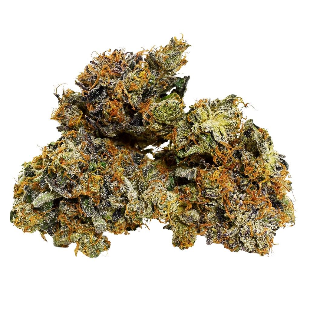 Broken Coast - Savary