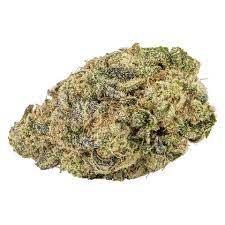 Indi - Jelly Breath