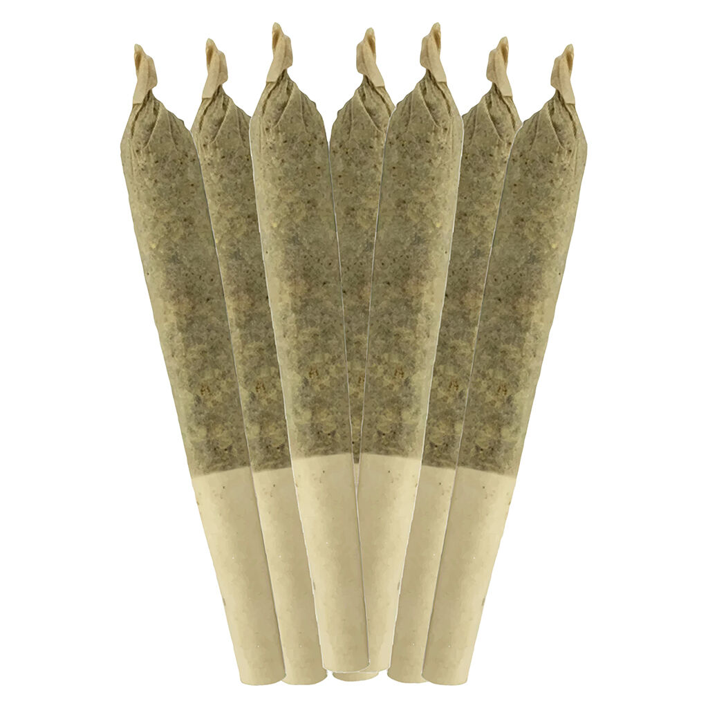Sheeesh! - Jungle Kush Pre-Roll - Indica - 7x0.5g