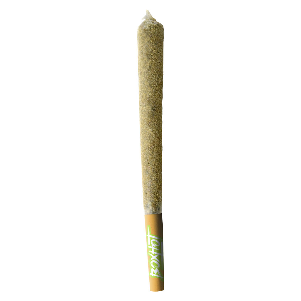 BOXHOT - Dusties XL Retro Orange Blast Kief-Coated Infused Pre-Roll 1x1.2g - BOXHOT - Dusties XL Retro Orange Blast Kief-Coated Infused Pre-Roll - Hybrid - 1x1.2g