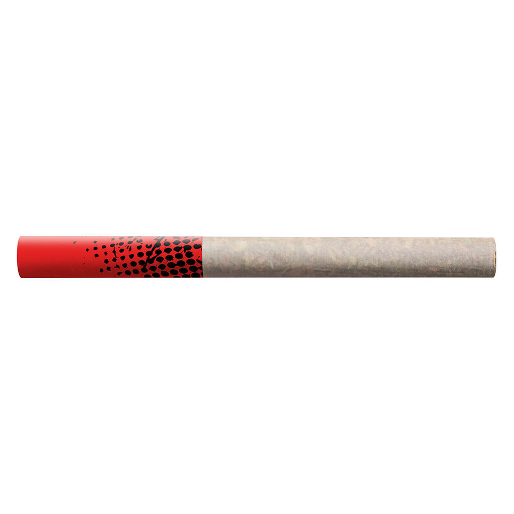 Big Bag O' Buds - Blueberry Dream Tube Style Pre-Roll - Sativa - 20x0.4g