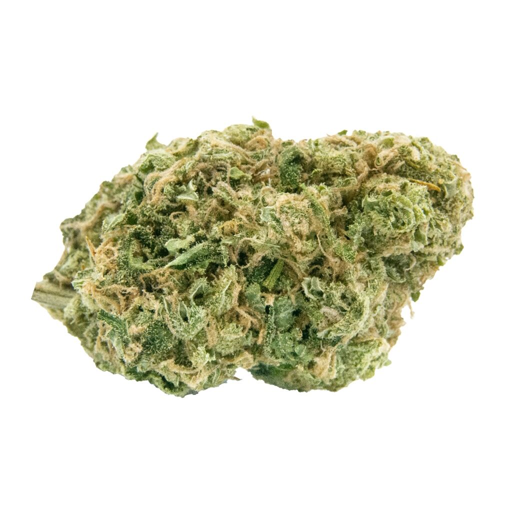 Haven St. Premium Cannabis - No. 515 Noisy Neighbour
