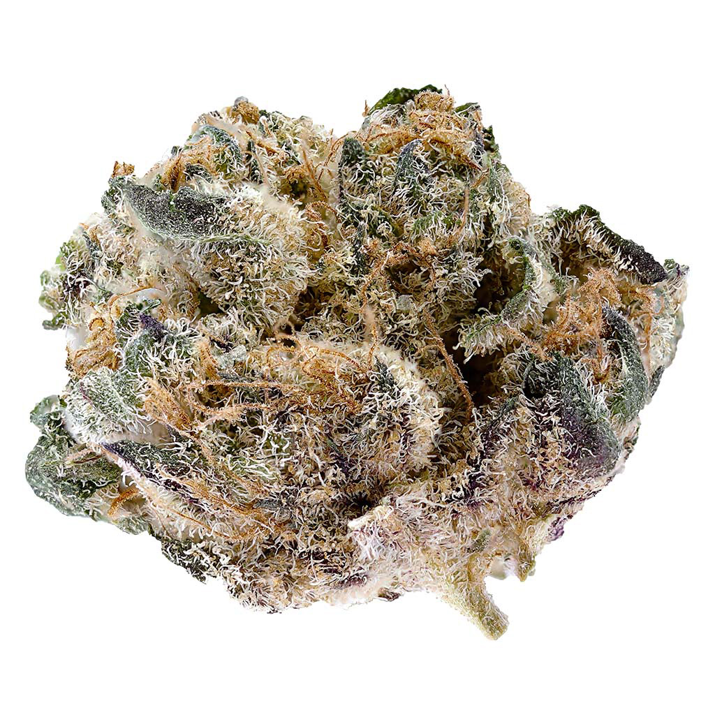 Legend - Legend Blackberry Gelato