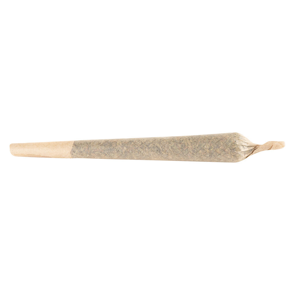 Terp Town Collective - Thicc Mintz Pre-Roll - Indica - 1x1g