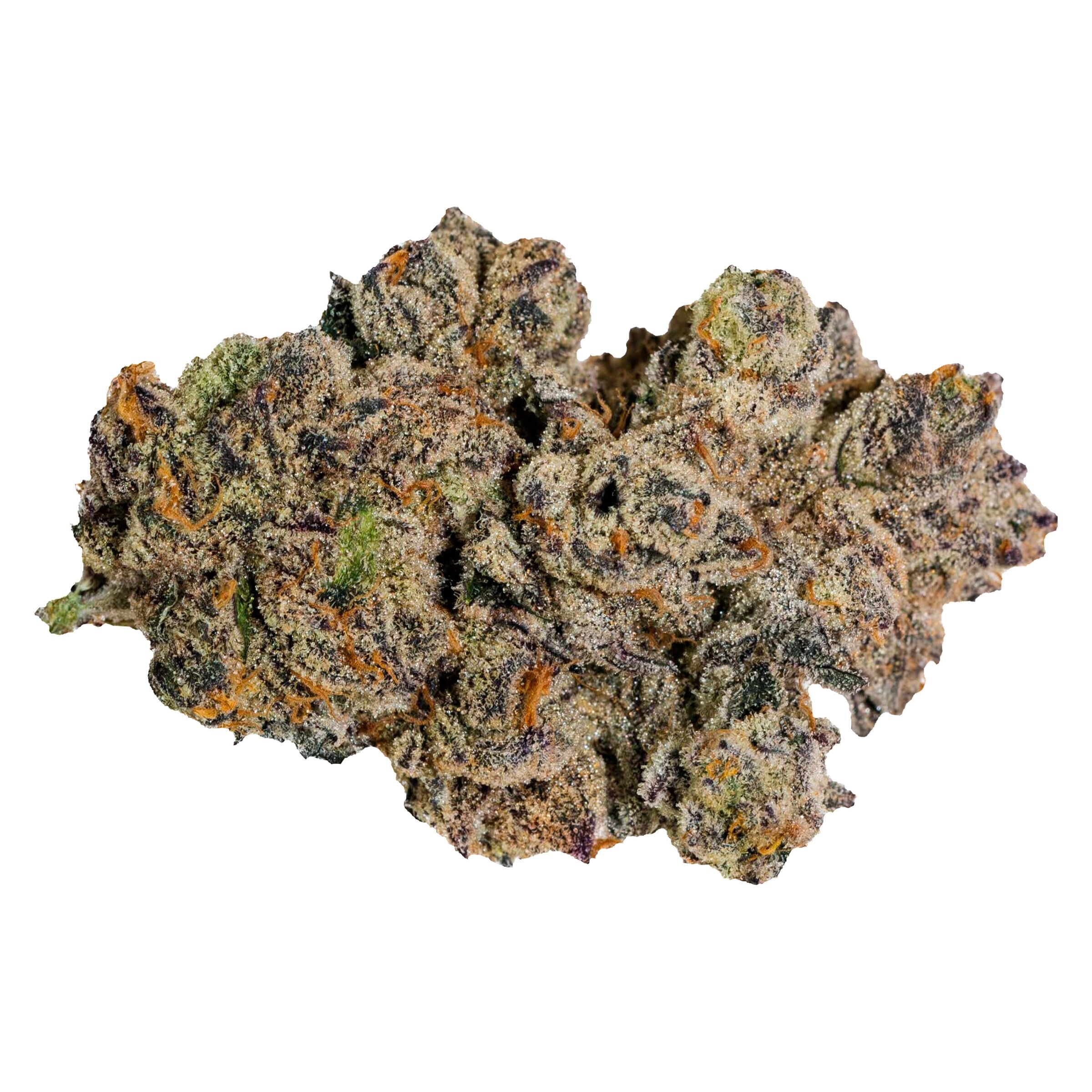 Broken Coast - Pineapple Jealousy
