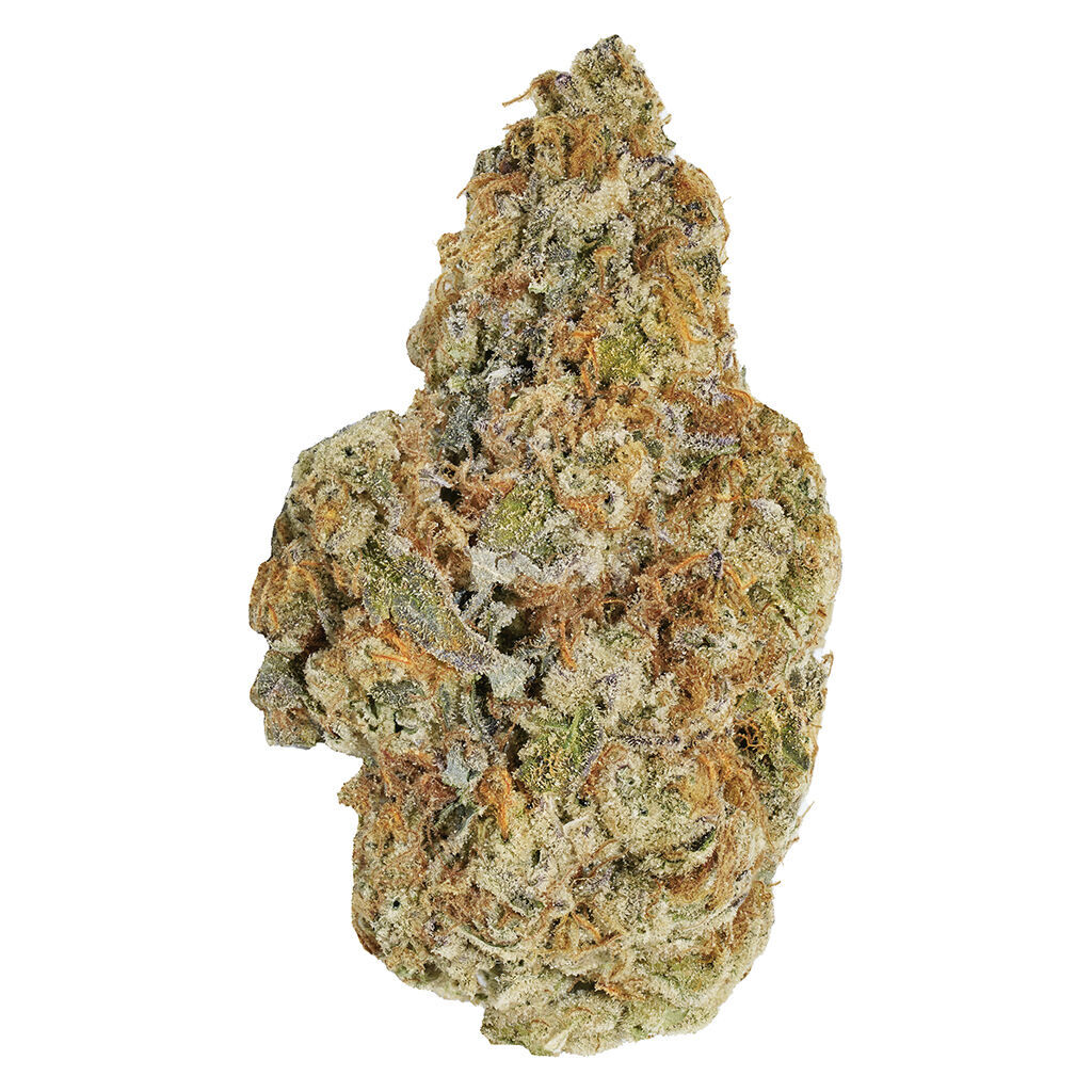 Qwest - P.s. Cheetah Craft Whole Flower