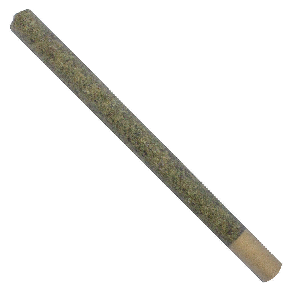 TRYGG - Uncut Pre-Roll - Hybrid - 1x2g