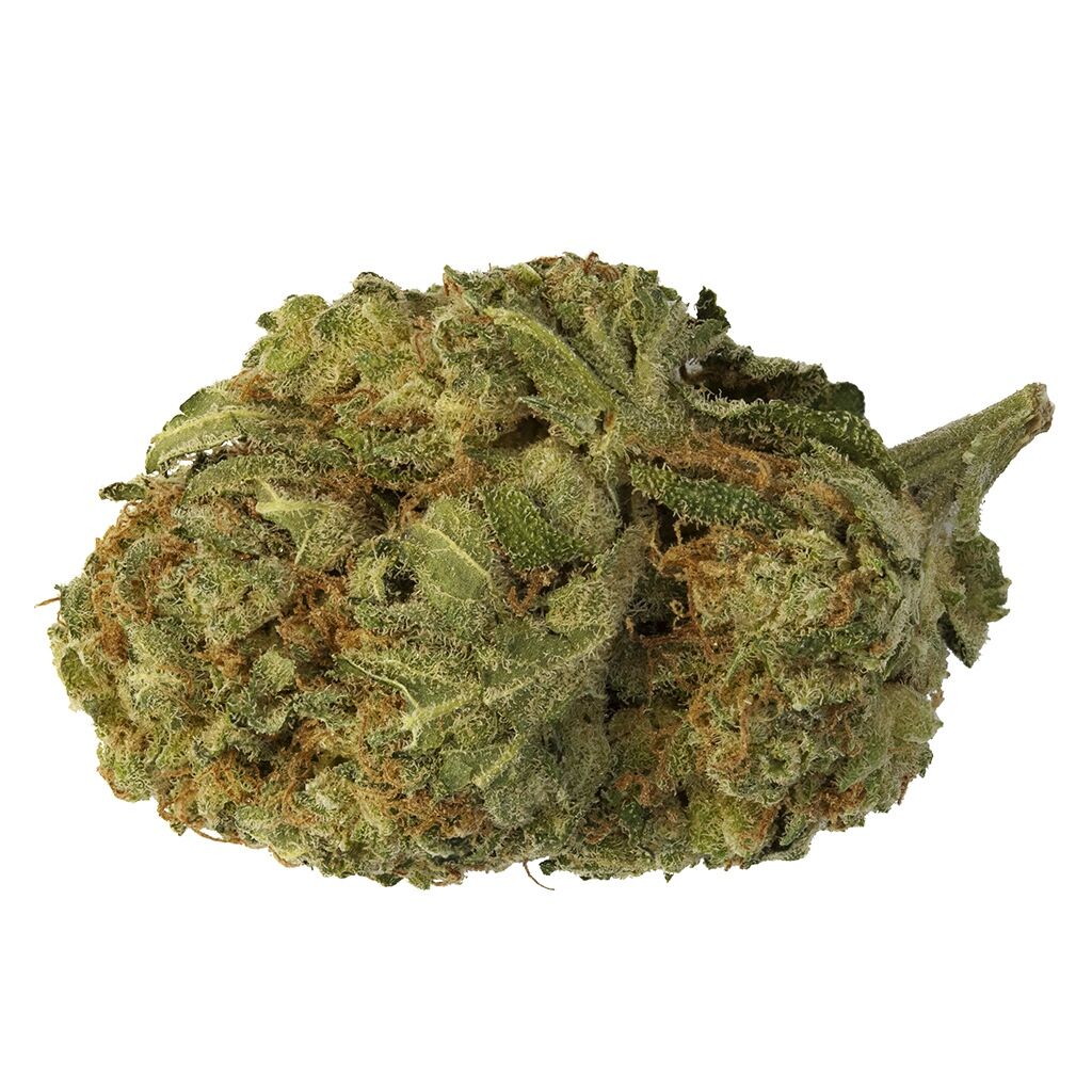 48North - Paris OG