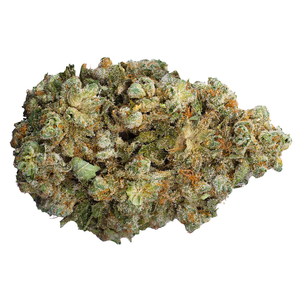 Origin Coast - Ghost OG