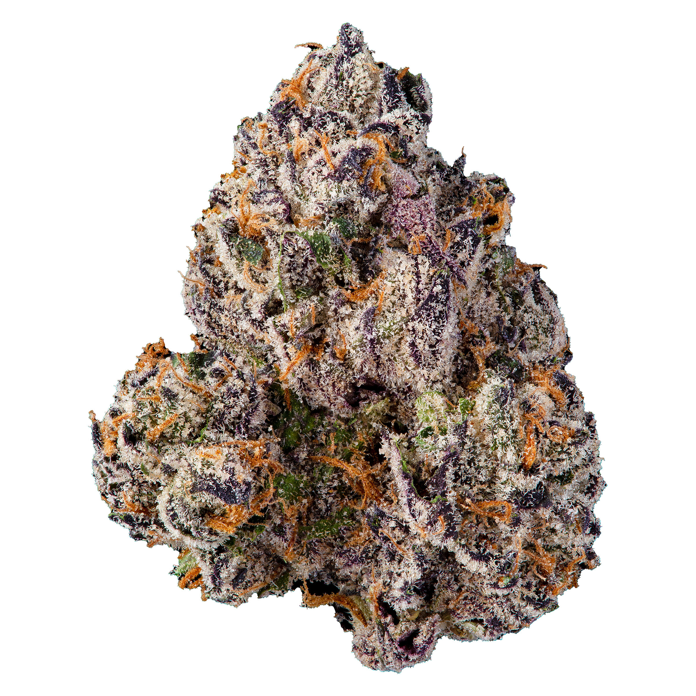 Compound Genetics - Compound Exclusive Batch