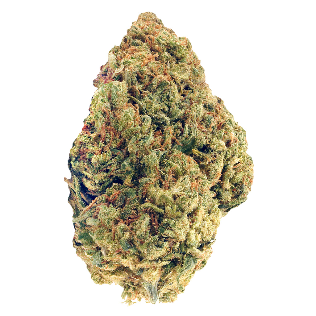 Highland Grow - Frostbite
