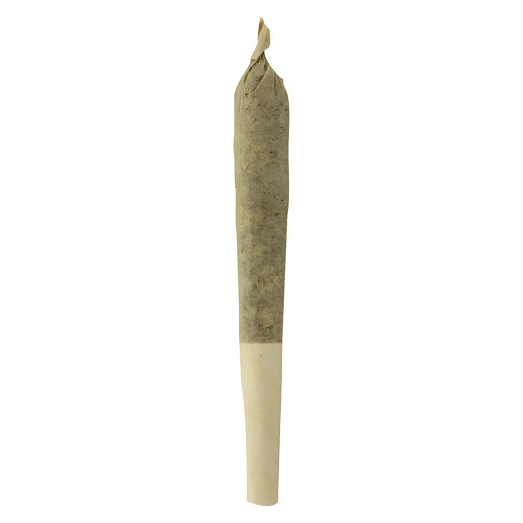 Sheeesh! - Trop Cherry Pre-Roll - Sativa - 1x0.5g