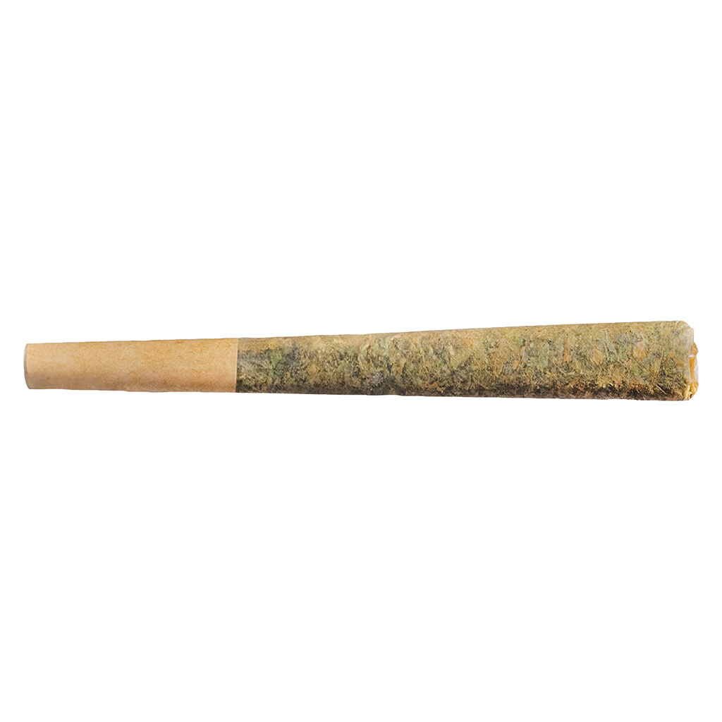 Fuego - Sunny Daze Sativa Pre-Roll 1x1g - Fuego - Sunny Daze Sativa Pre-Roll - 1x1g