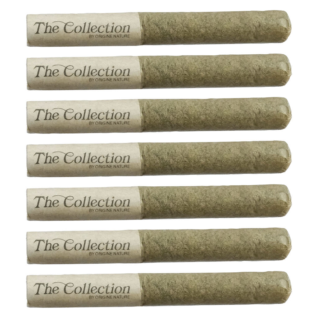 The Collection by Origine Nature - Petroleum Pre-Roll - Indica - 7x0.5g