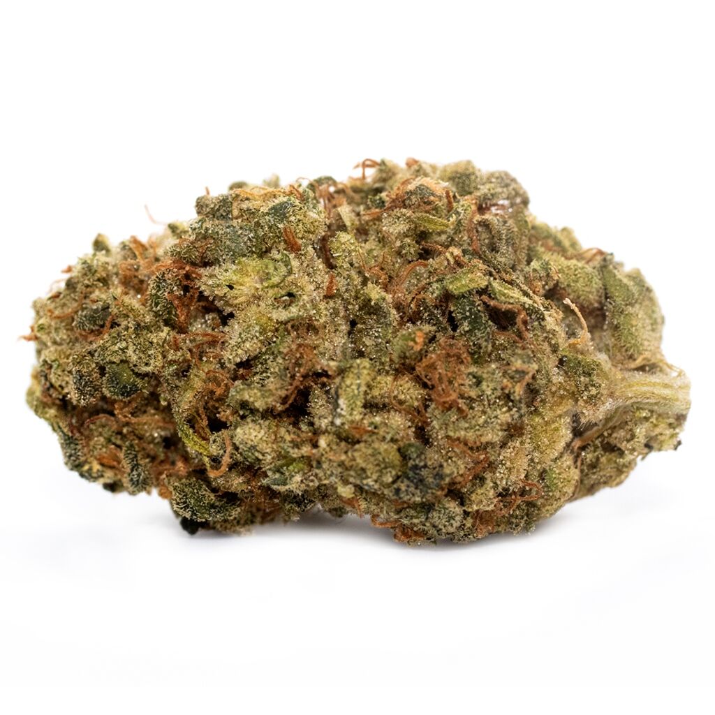 Reef Organic - High Seas