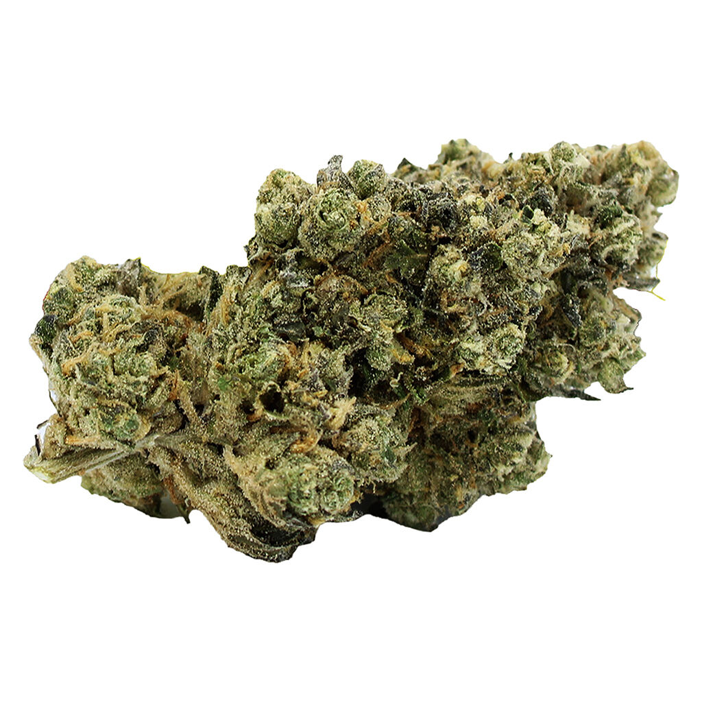 Costa Canna - Grape Stomper
