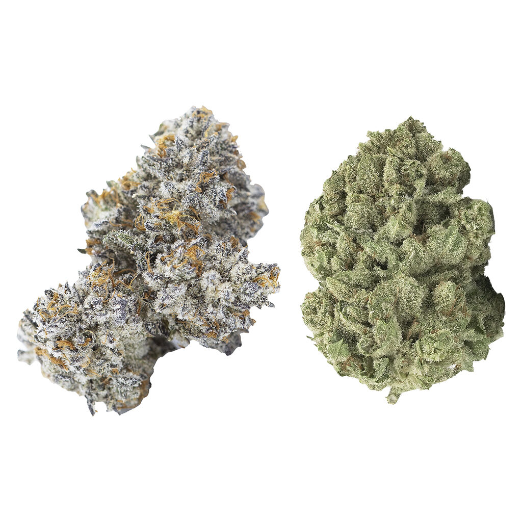 3rd Coast Genetics - Gold Cash Gold & Pure Michigan Mixed Pack