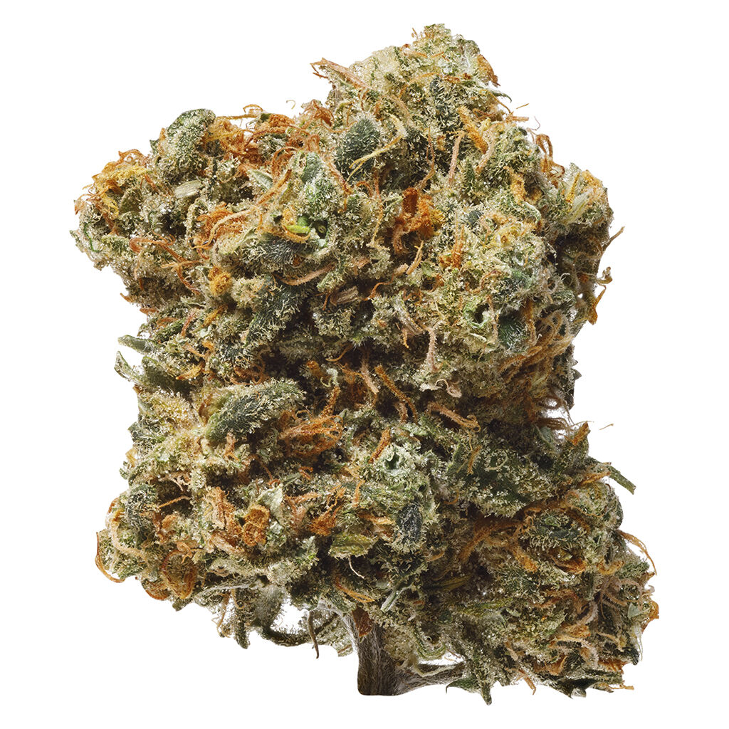 1964 - Blue Dream 14g