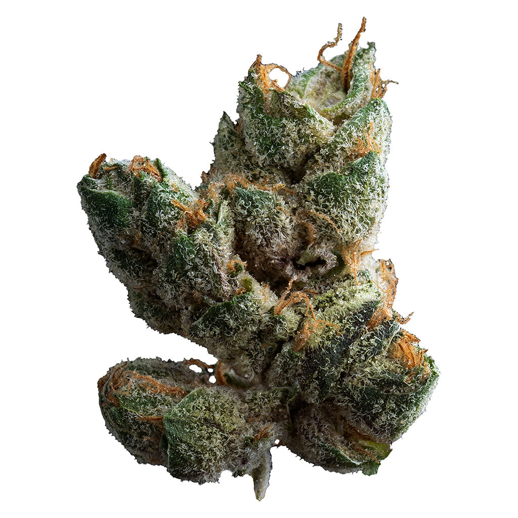 Muskoka Grown - Sugar Cookies