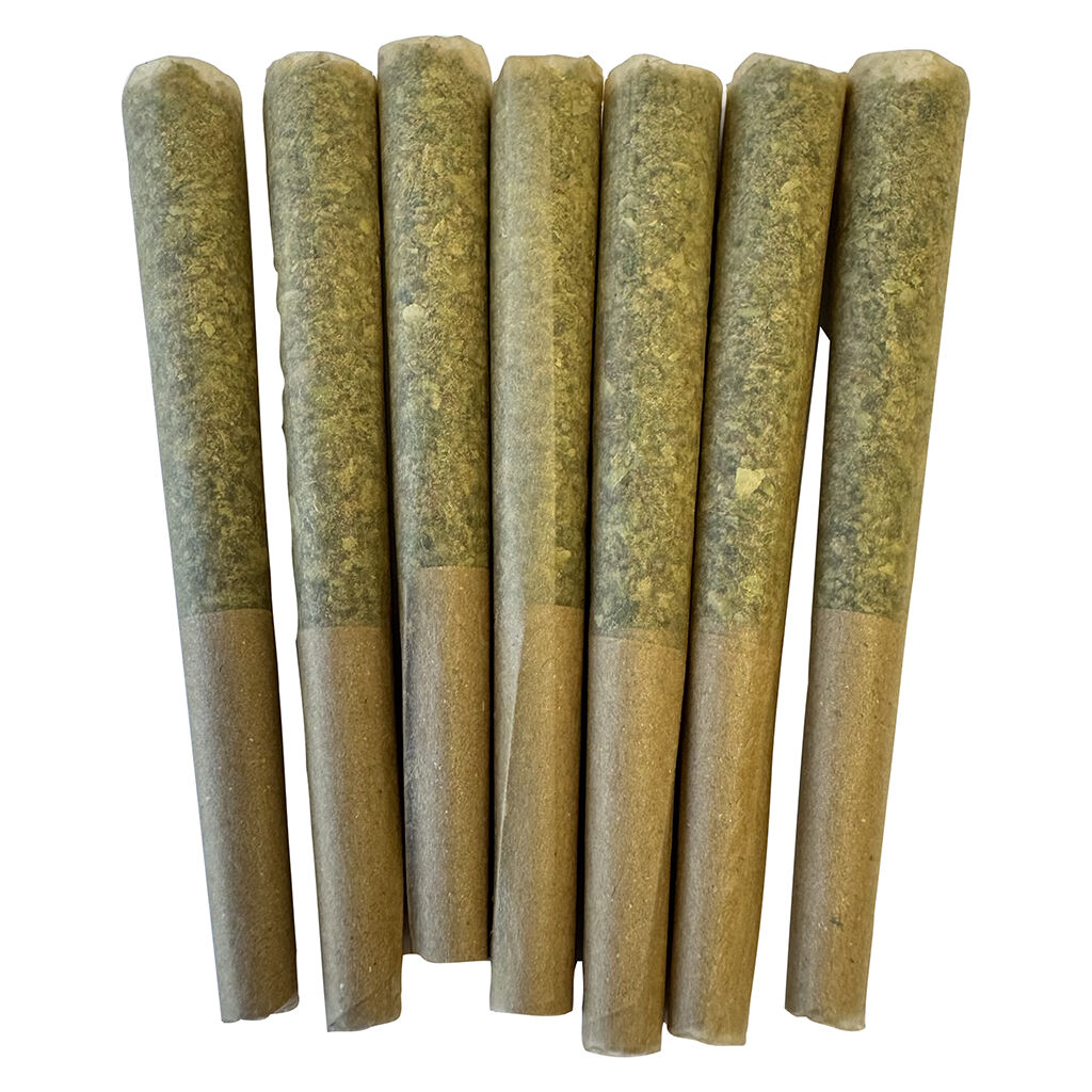 Noodz - Profile -tropical Pre-roll - Hybrid - 7x0.5g