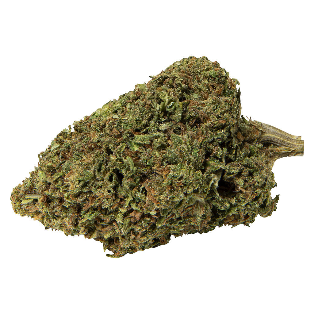 Abide - Lemon Sapphire