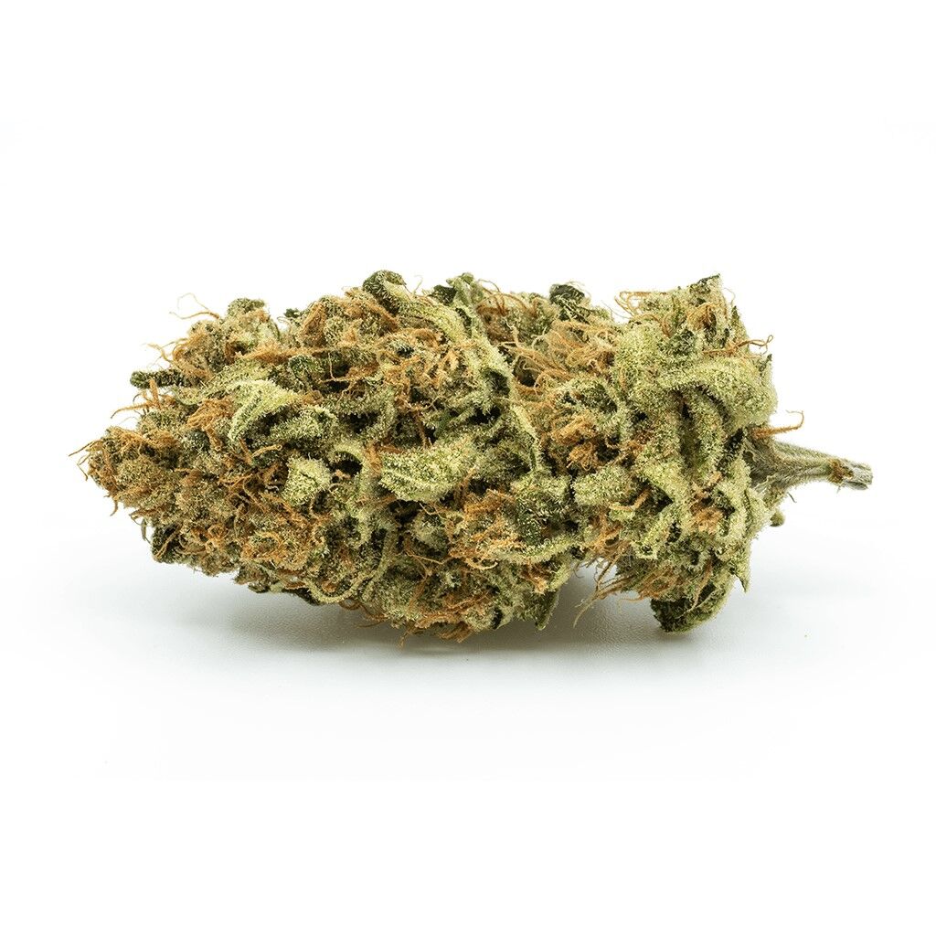Redecan - Outlaw