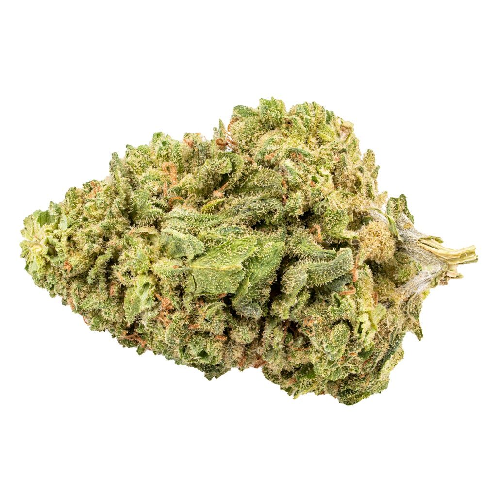 BINGO - Sativa!