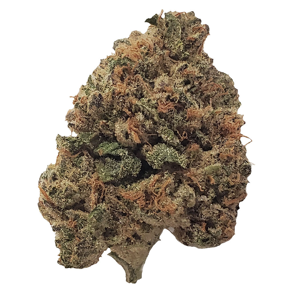 Color Reserve - The Gallery