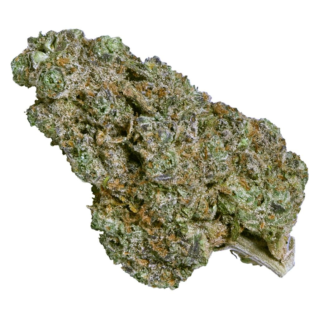 ecotone - Hero Bud