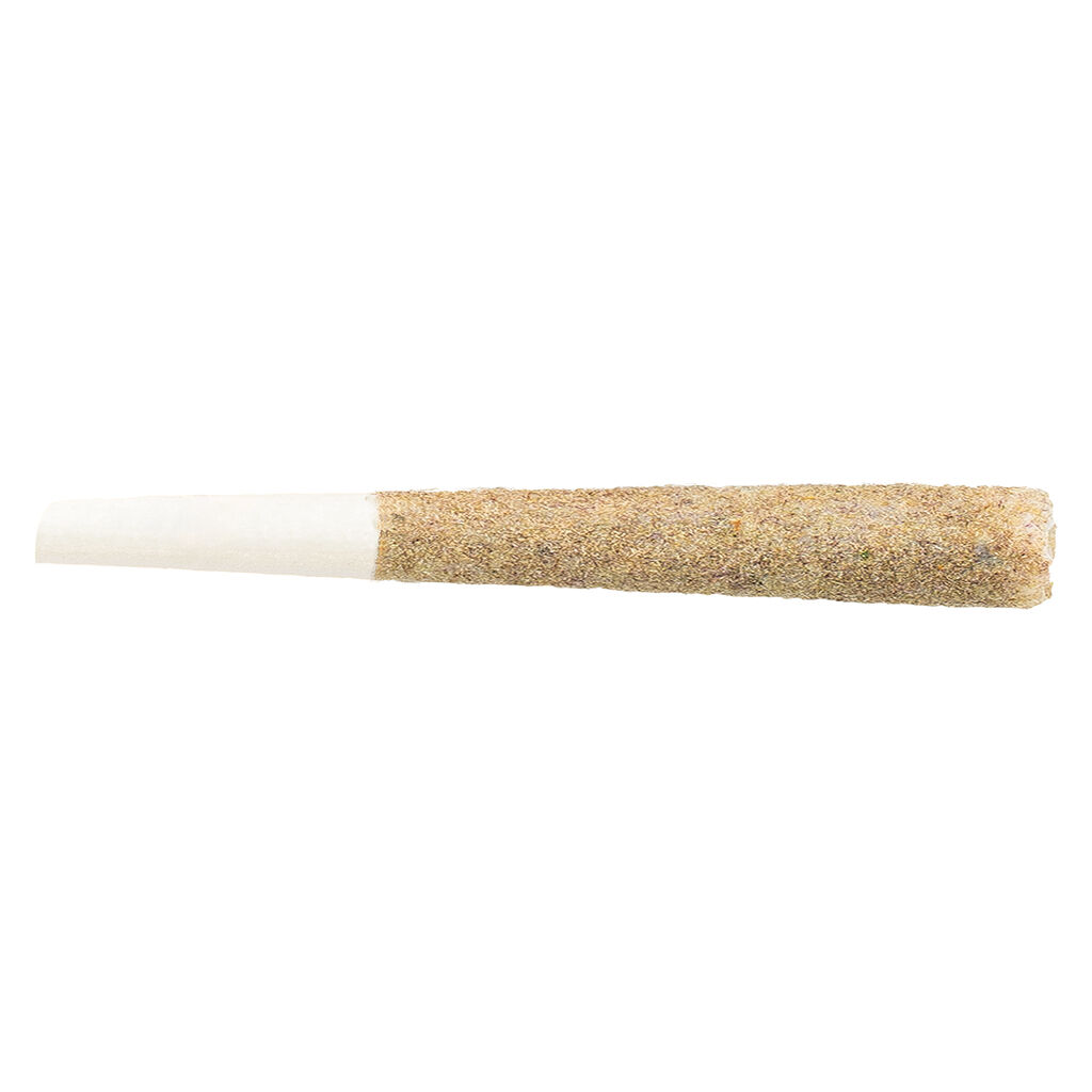 No Brand - Infused Kief Coated Pre-Roll - Indica - 1x1g