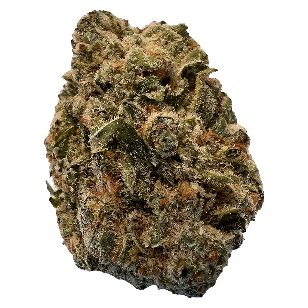 Versus - BC Purple Kush 28g