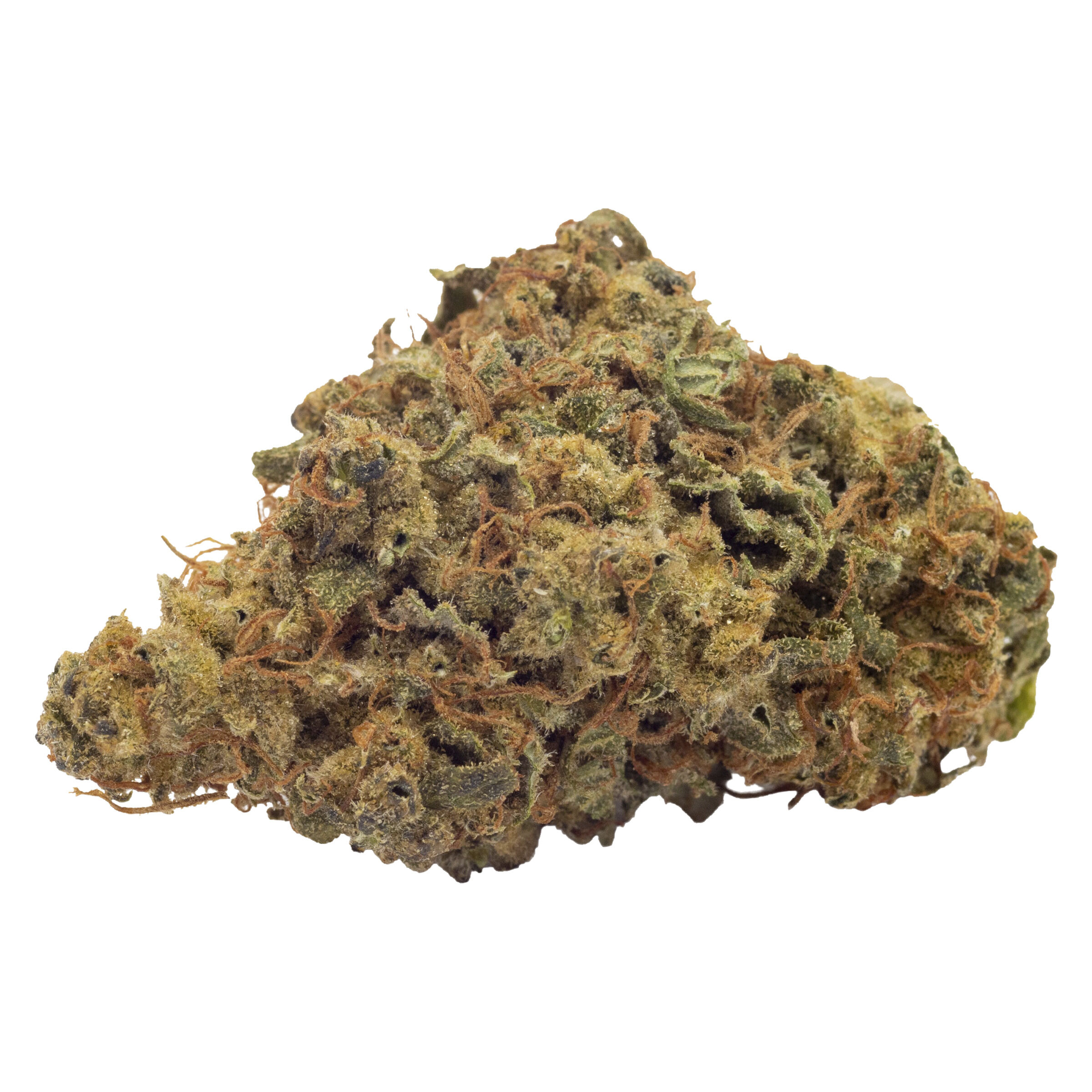 FIGR - Coastal Sage