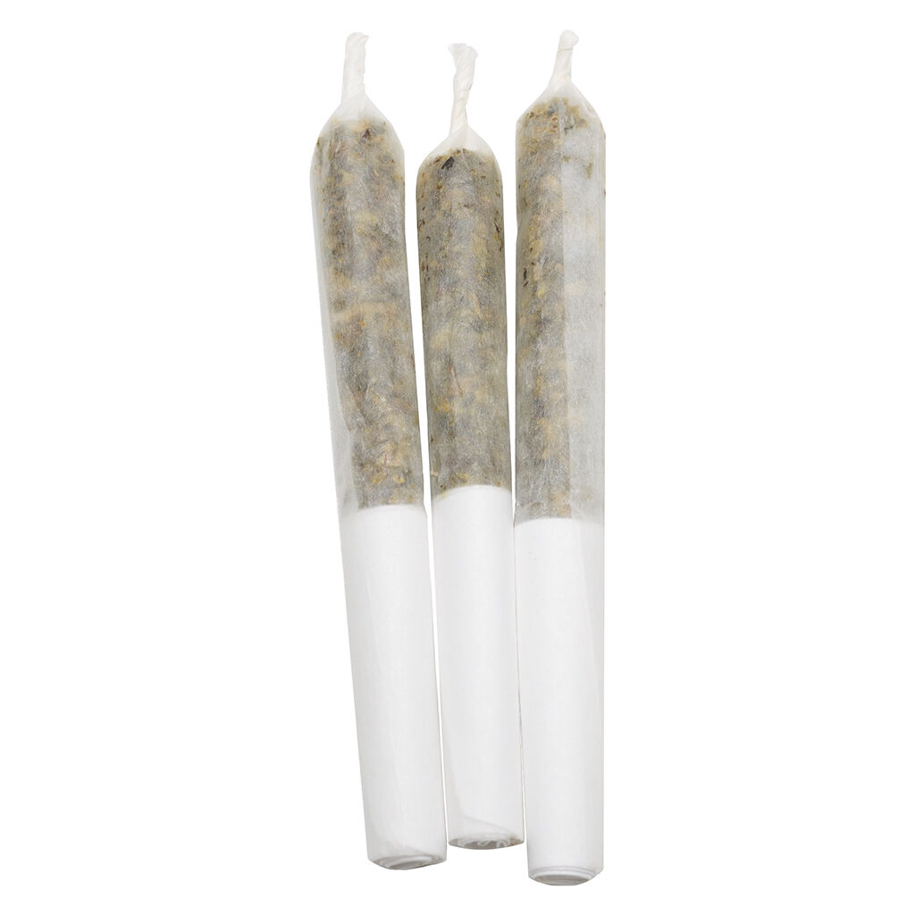 Lamplighter - Pineapple Coconut Escape Infused Pre-Roll - Hybrid - 3x0.5g