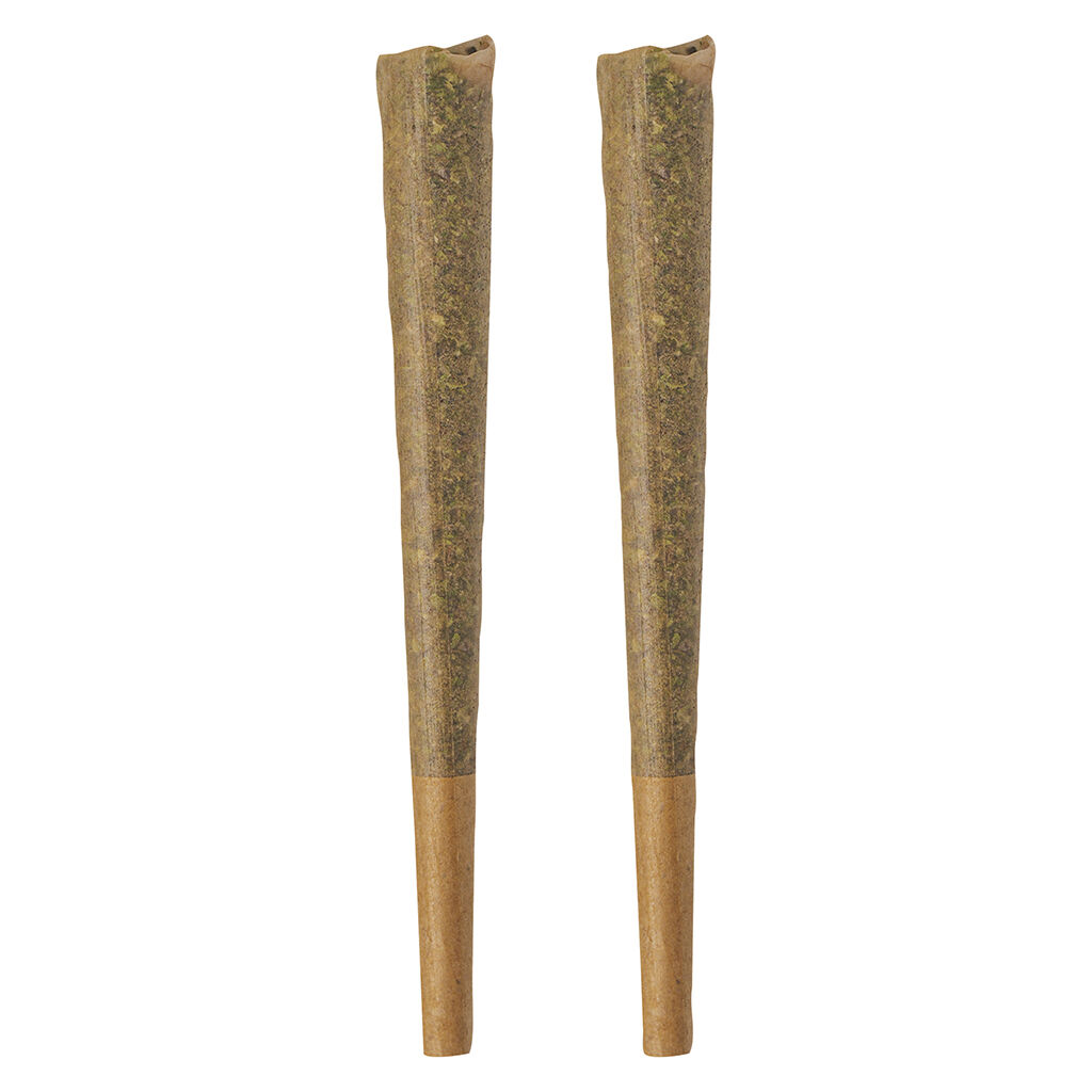 BOLD - GLAZED Sativa Pre-Roll - 2x1g