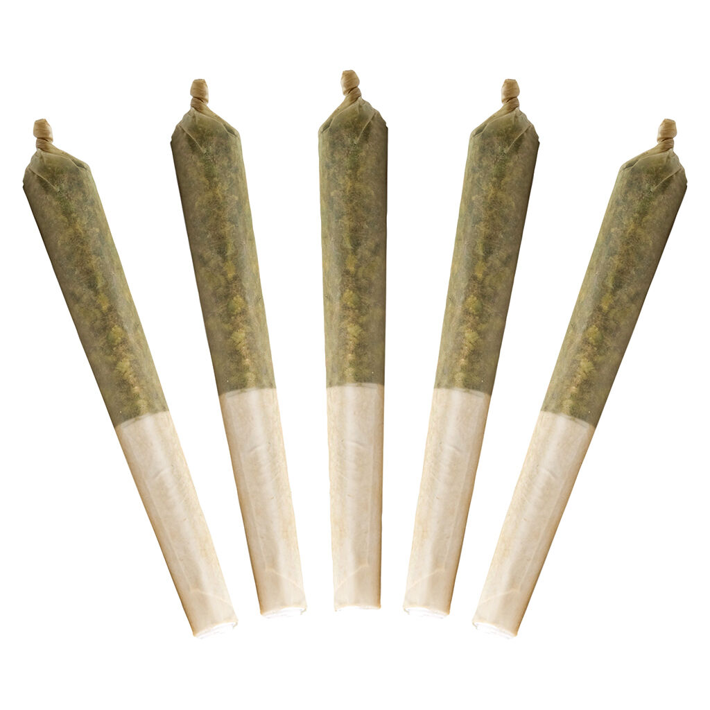 Buddy Blooms - Lil Buddy Sativa Pre-Roll - 5x0.5g