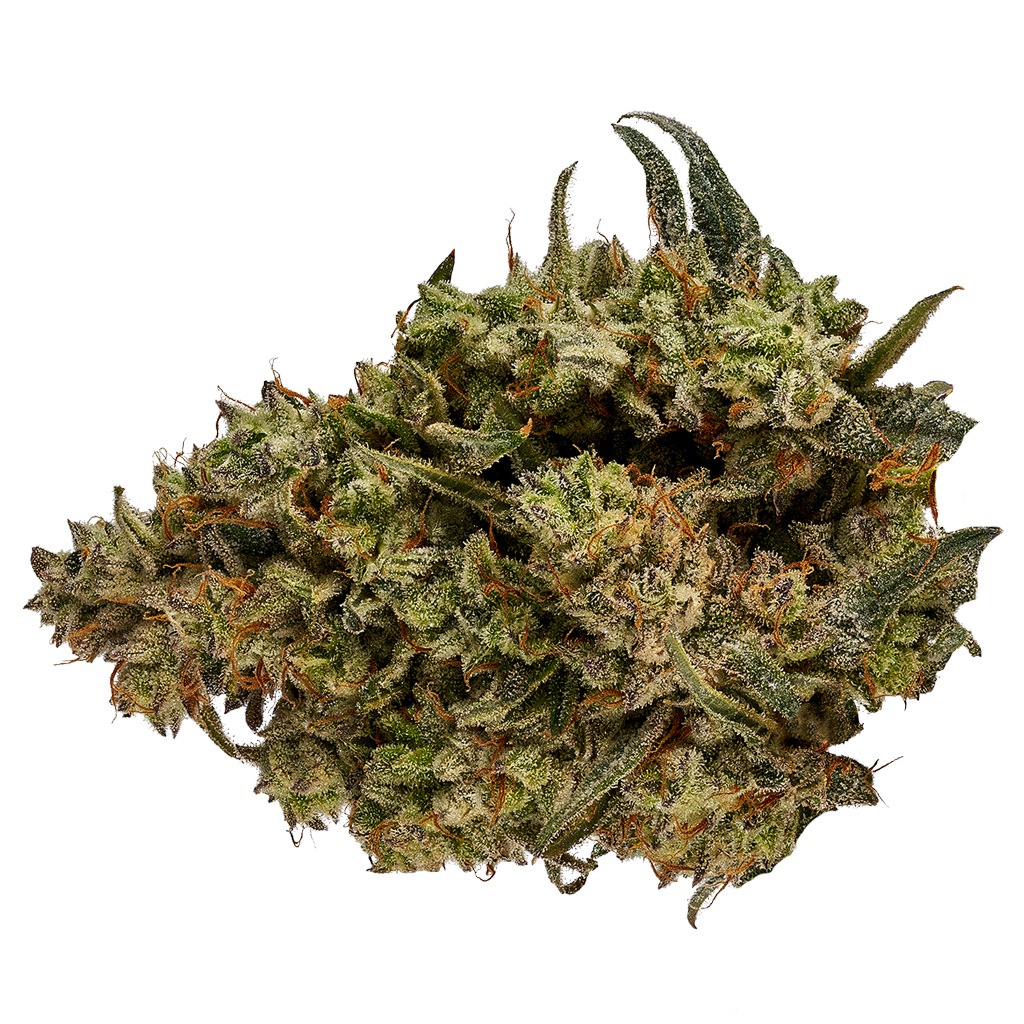 Orchid CBD - CBD Runtz