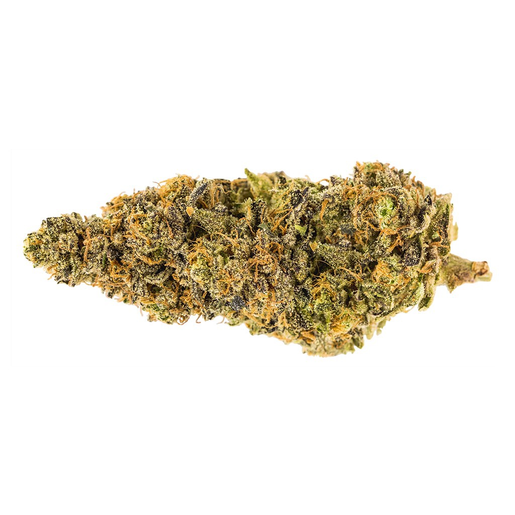 Carmel - Garlic Breath