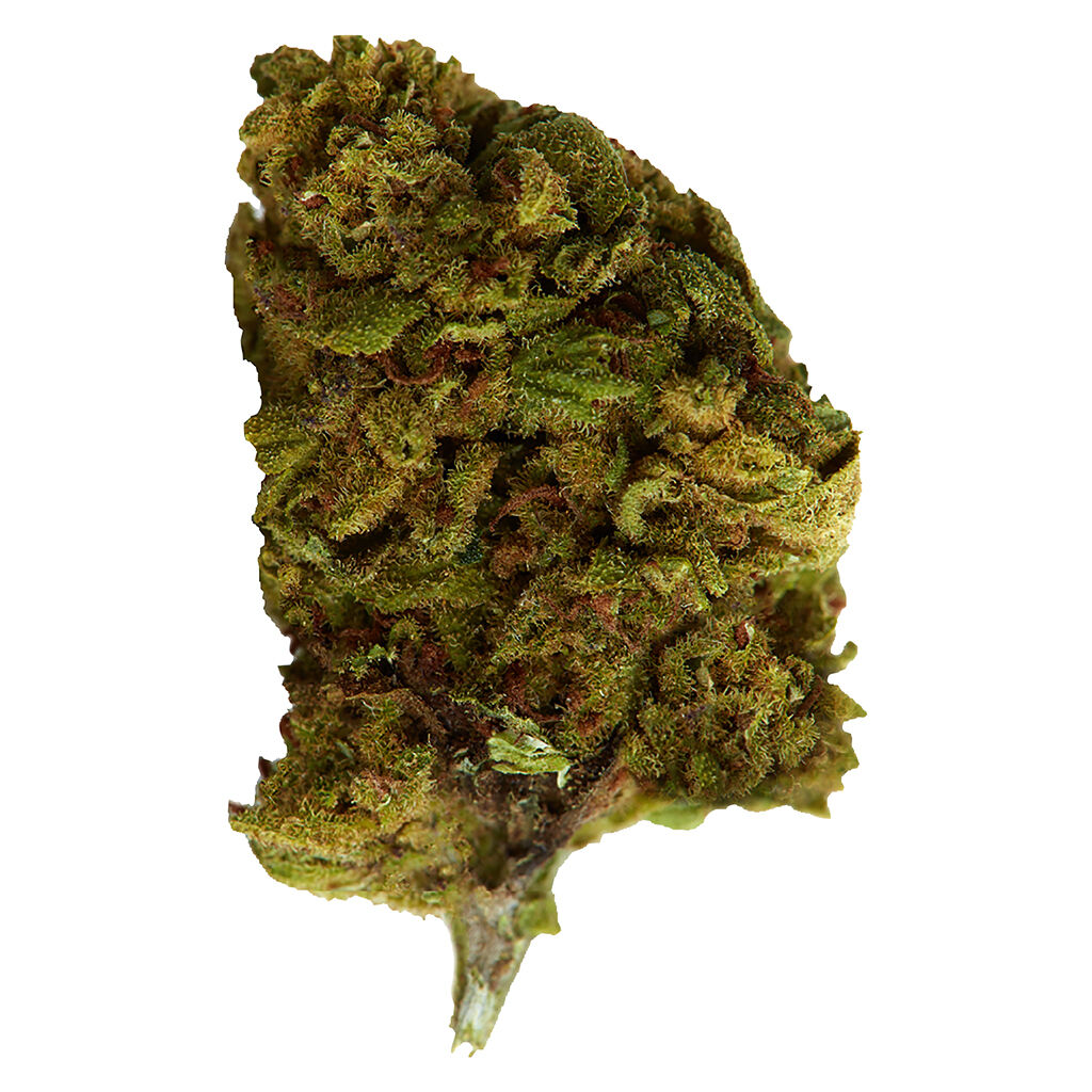 Versus - Bubba Kush