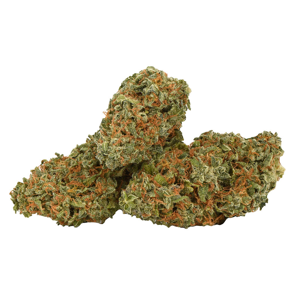 FRESH - Purple Gas Mask