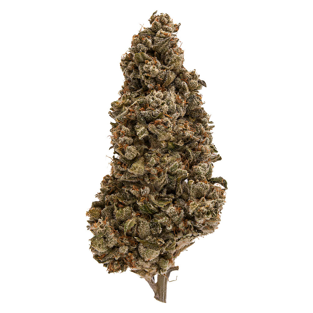 Fuga - Strawberry Pave LSO